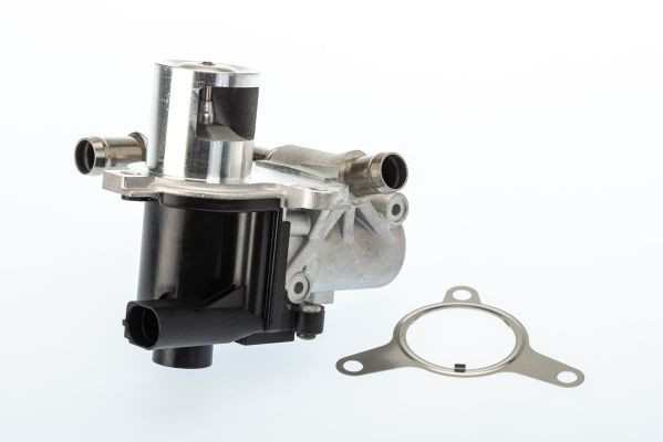 Compre 710965D Wahler Válvula EGR de recirculação dos gases