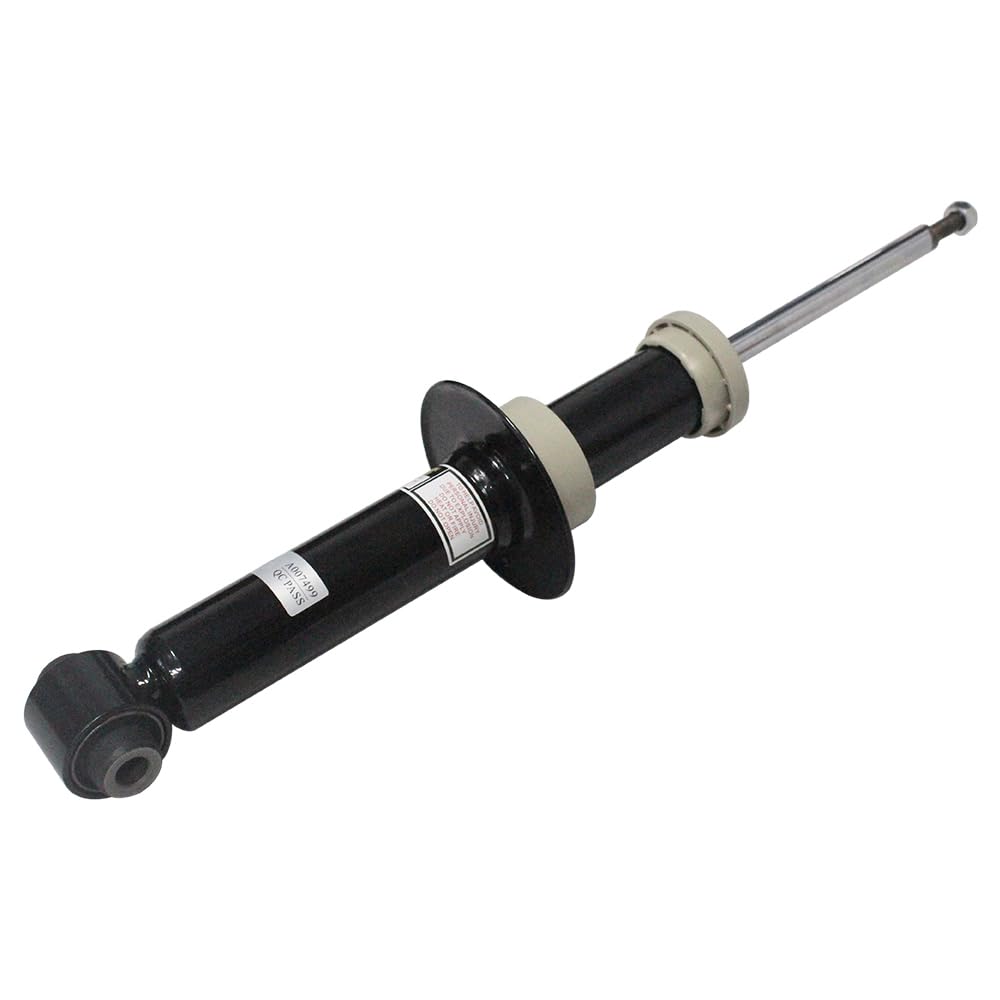 18053 ABS Disco do freio traseiro