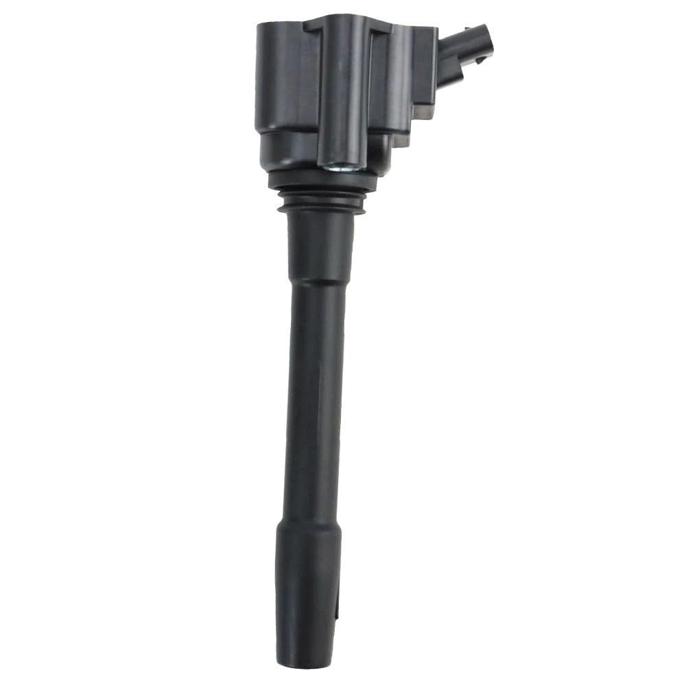 SS1010 AS/Auto Storm