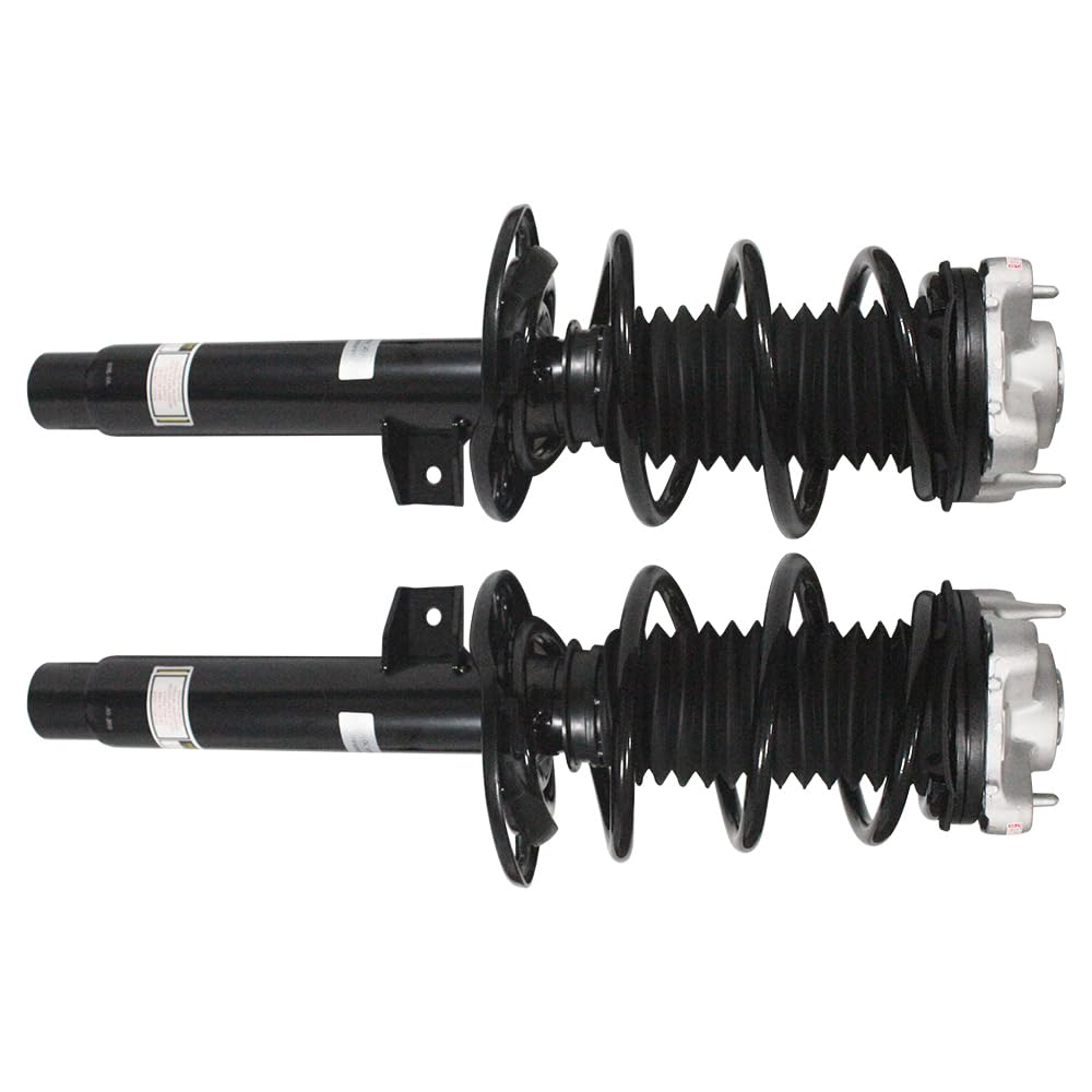 31316895961 BMW
