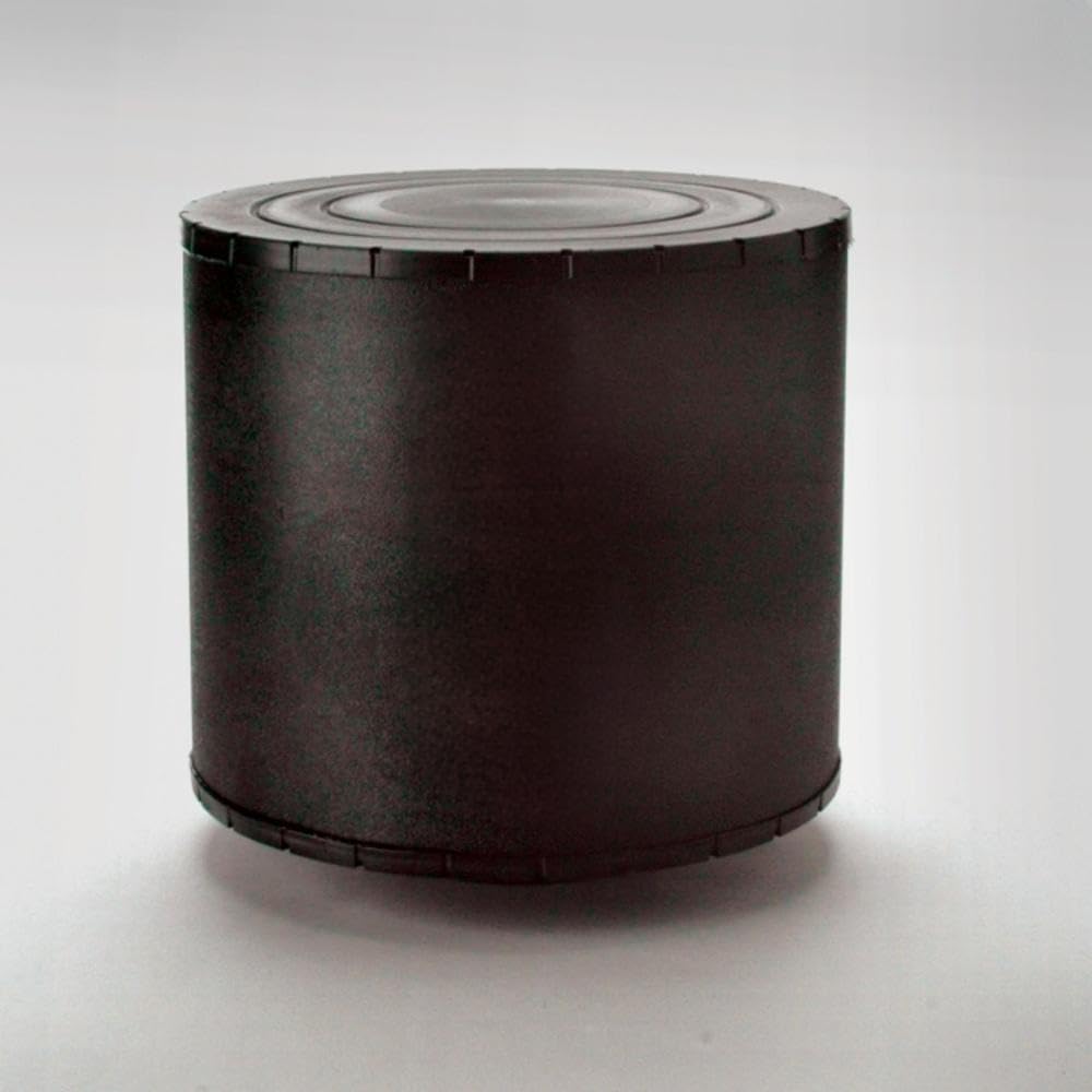C125004 Donaldson Filtro de ar