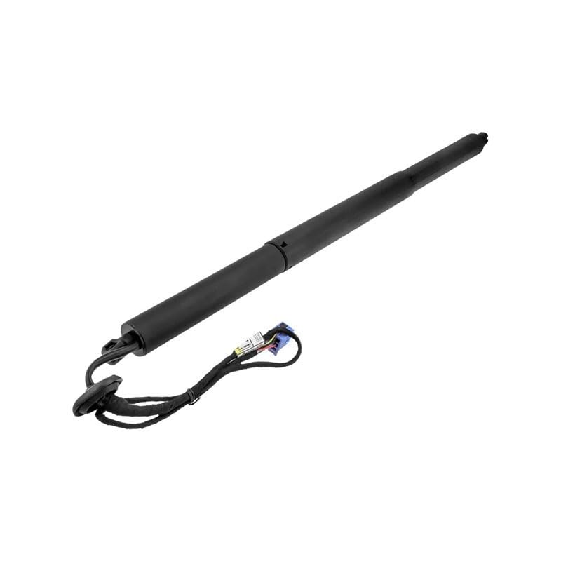 Amortecedor de tampa de porta-malas (de 3ª/5ª porta traseira) V30550006 Vemo