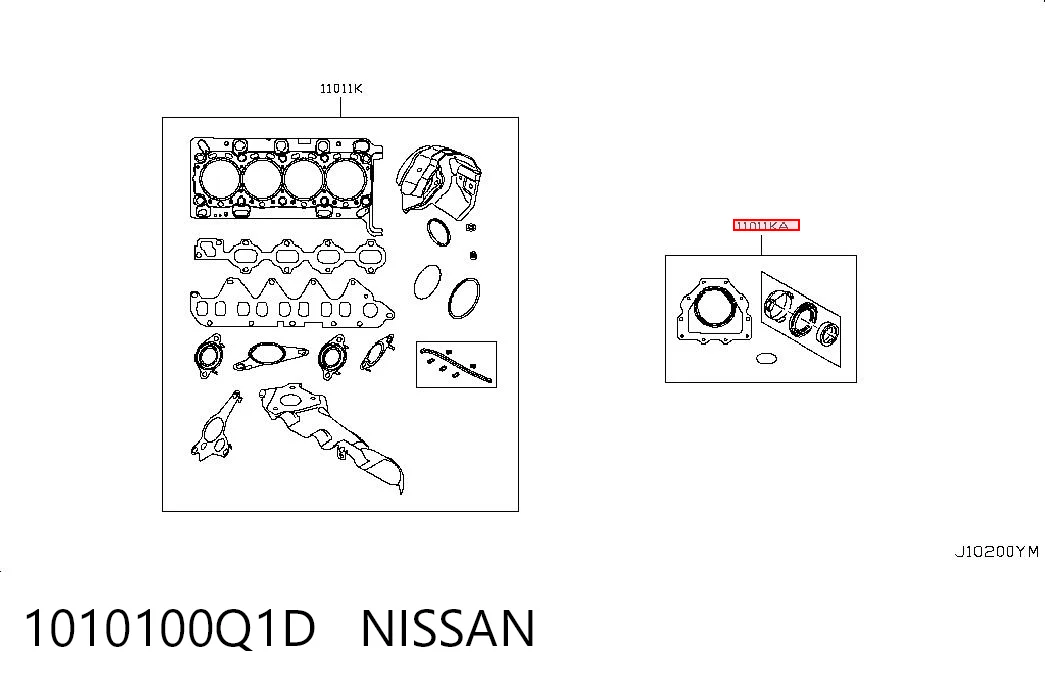 1010100Q1D Nissan/Infiniti