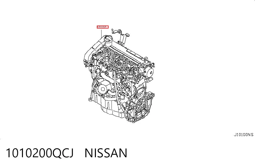 1010200QCJ Nissan/Infiniti