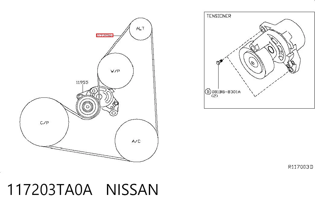117203TA0A Nissan/Infiniti Correia dos conjuntos de transmissão