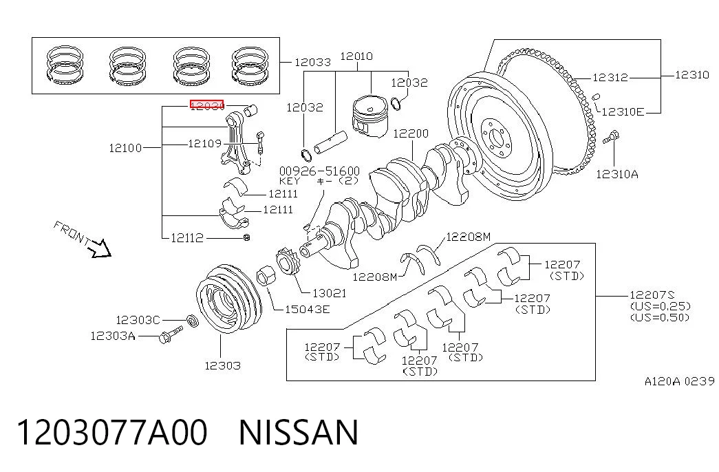 1203077A00 Nissan/Infiniti