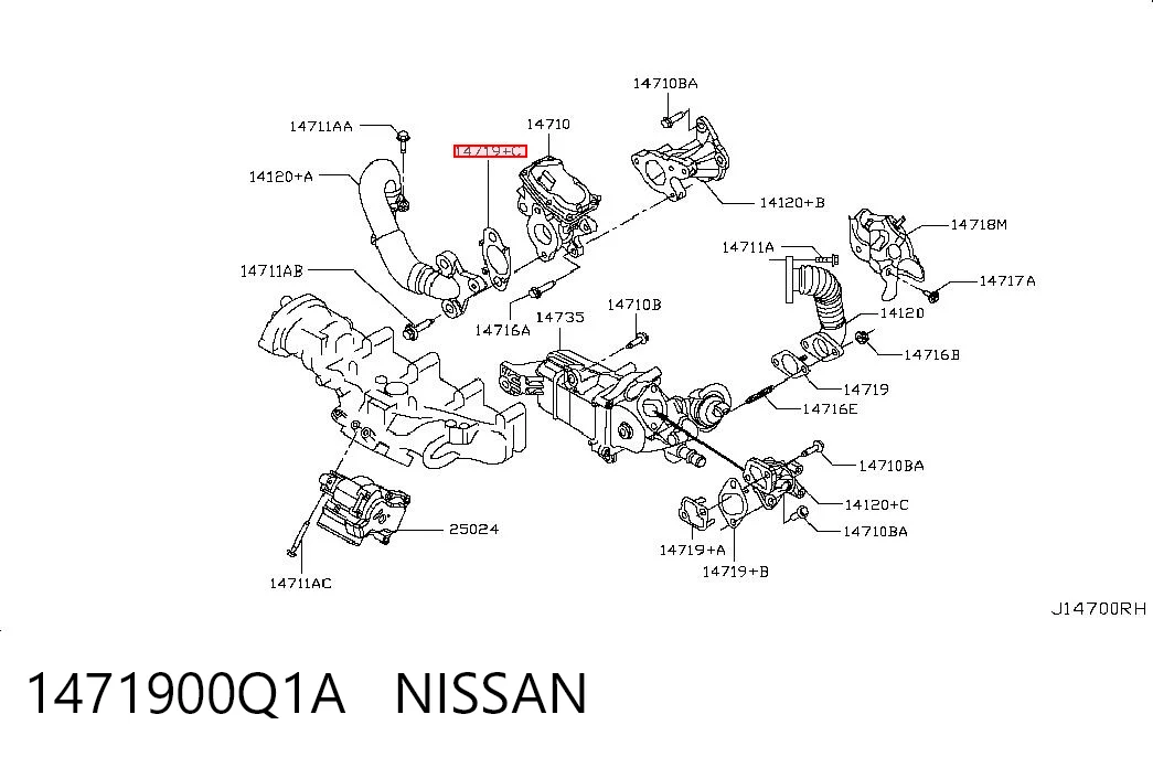 1471900Q1A Nissan/Infiniti
