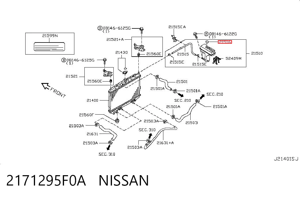 2171295F0A Nissan/Infiniti