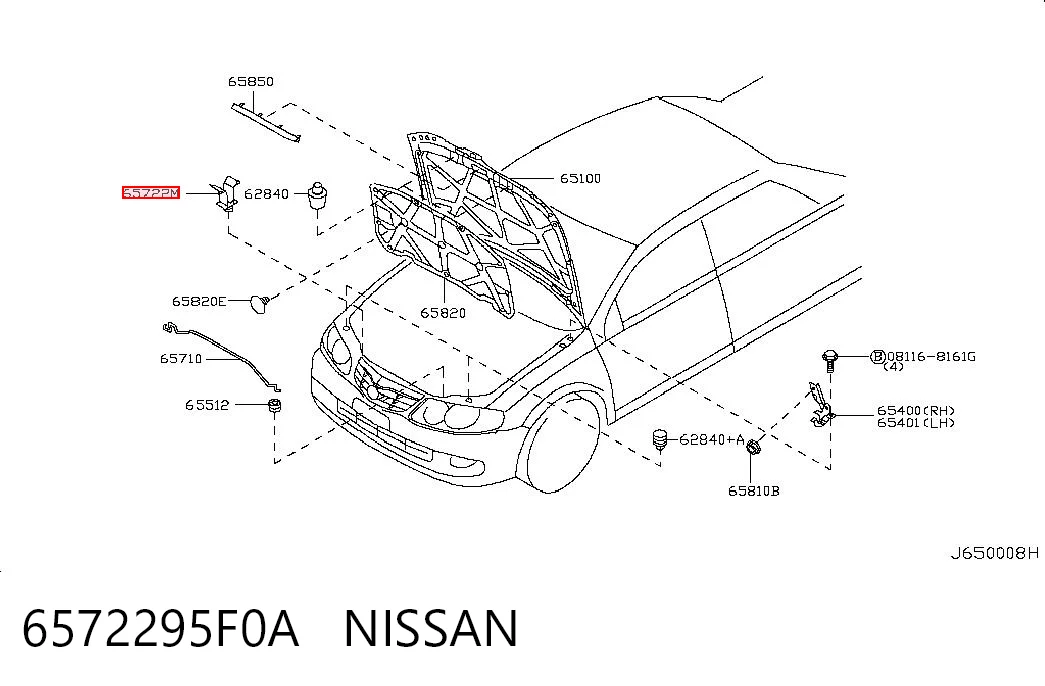 6572295F0A Nissan/Infiniti