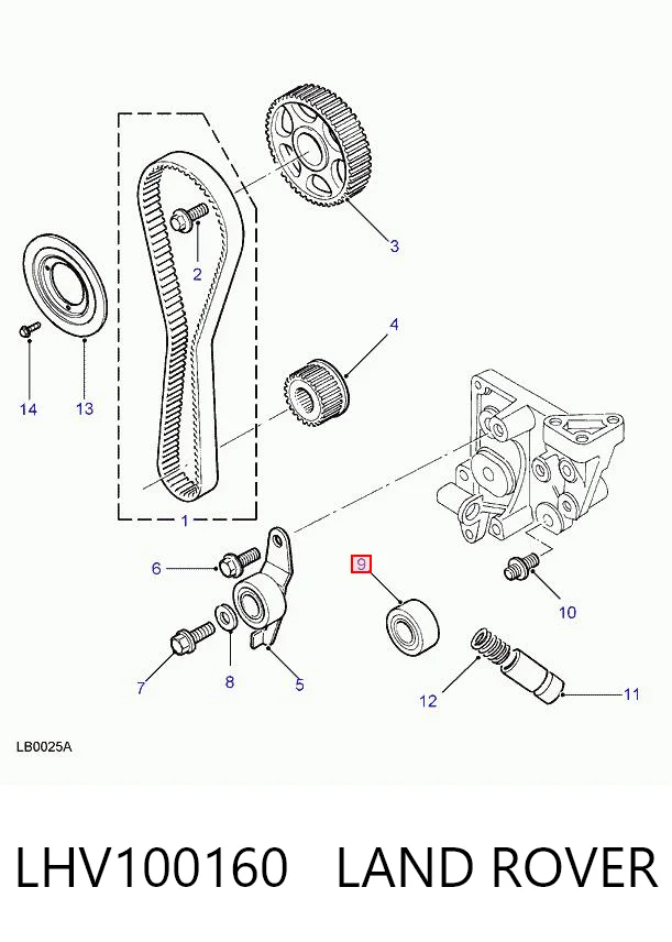 LHV100160 PLUS AFTERMARKET Rolo parasita da correia do mecanismo de distribuição de gás