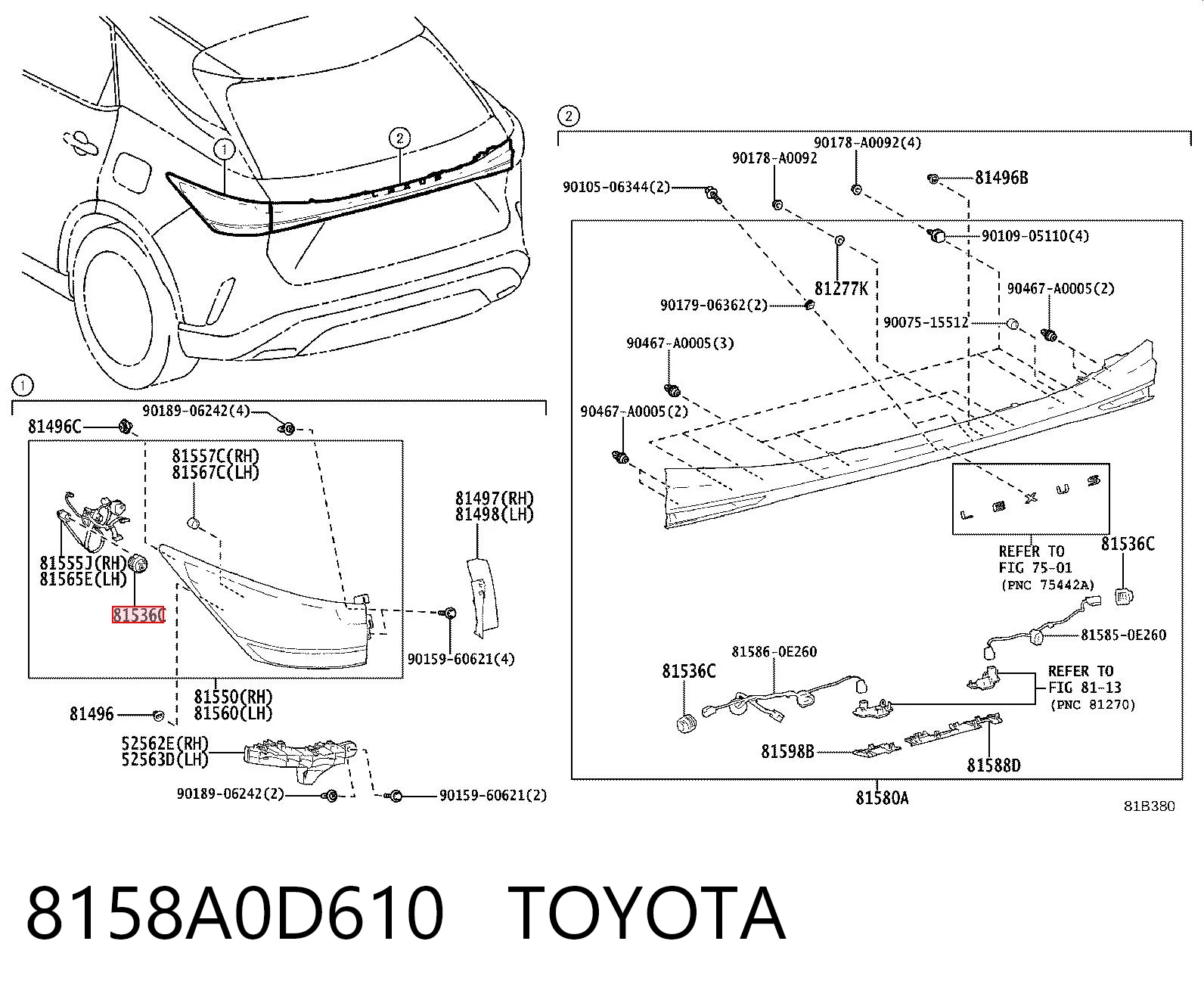 Lâmpada das luzes de nevoeiro para Toyota Corolla  E21