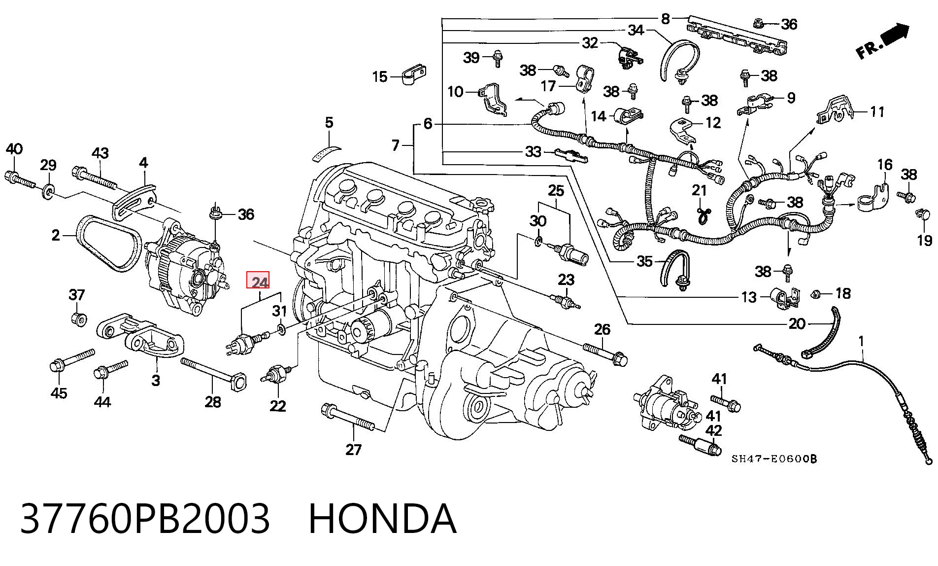 Compre Sensor de temperatura do fluido de esfriamento (de ativação de ventilador do radiador) Honda Civic 3