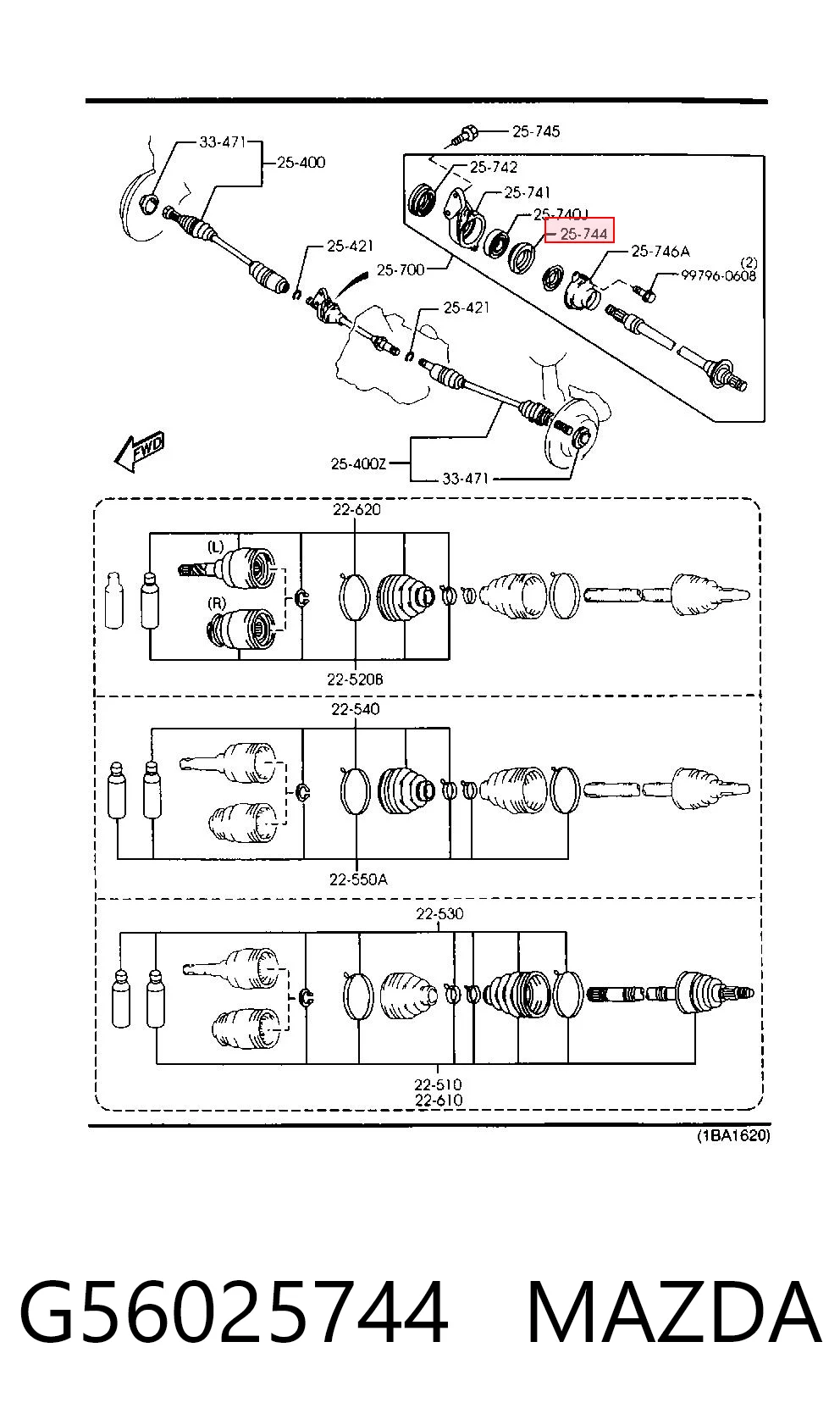 G56025744 Mazda Bucim de rolamento suspenso dianteiro da árvore intermédia