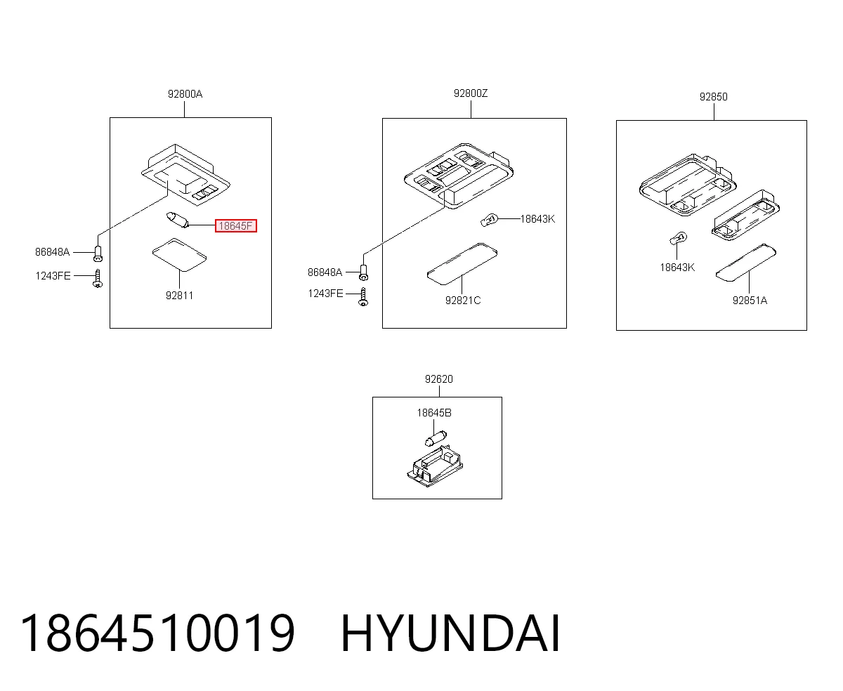 1864510019 Hyundai/Kia Lanterna da luz de fundo de matrícula traseira