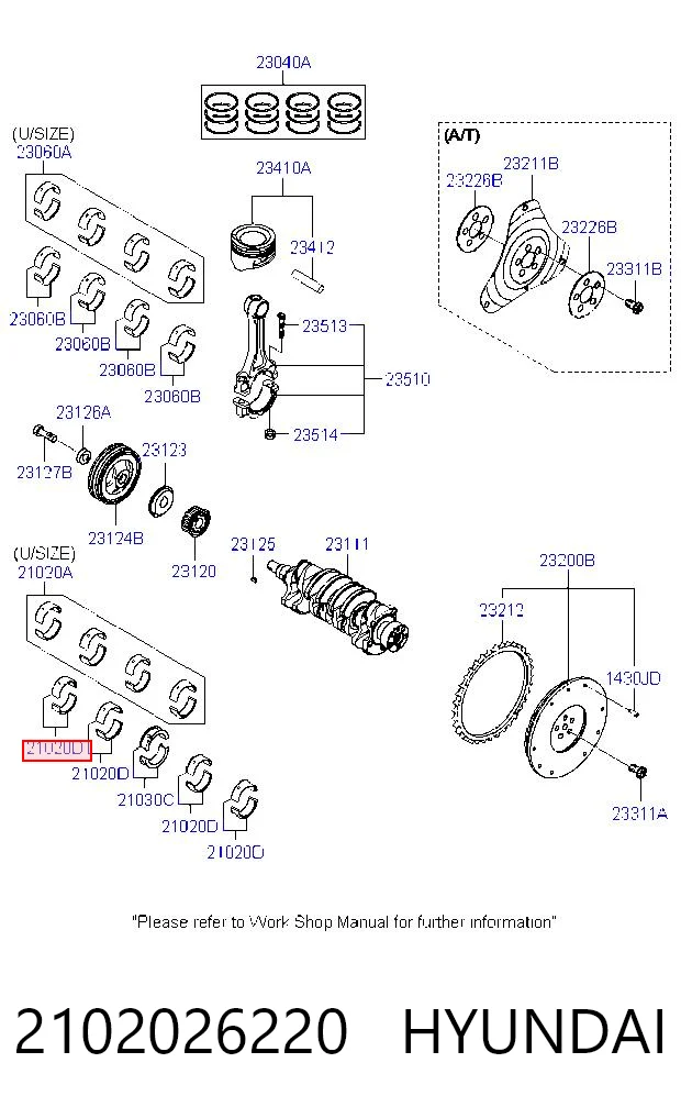 2102026220 Hyundai/Kia Folhas inseridas principais de cambota, kit, padrão (STD)