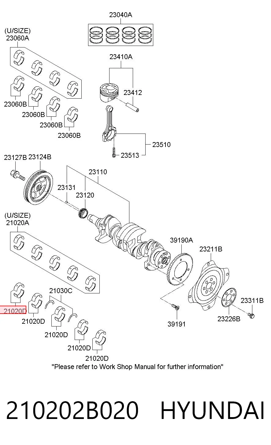 210202B020 Hyundai/Kia Folhas inseridas principais de cambota, kit, padrão (STD)