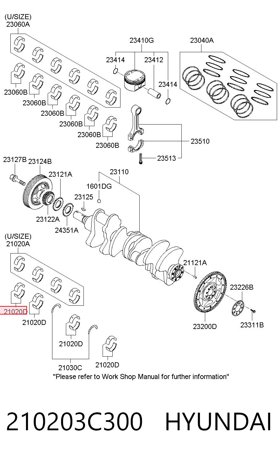 210203C300 Hyundai/Kia Folhas inseridas principais de cambota, kit, padrão (STD)