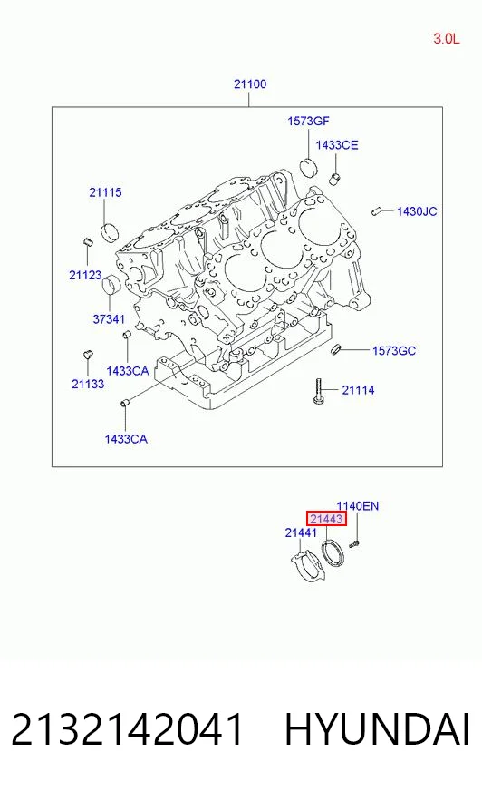 2132142041 Hyundai/Kia Vedação traseira de cambota de motor