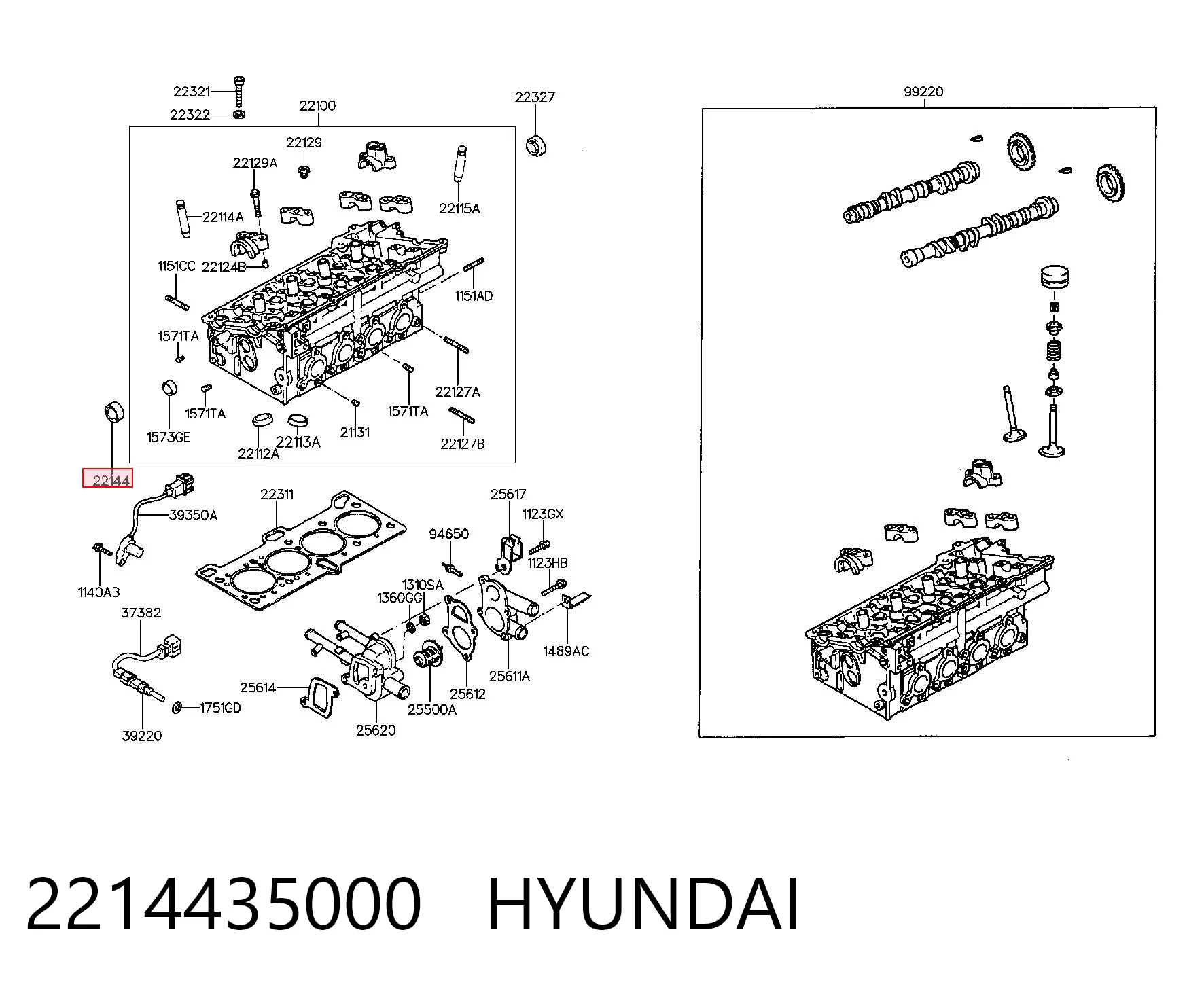 2214435000 Hyundai/Kia Vedação da árvore distribuidora de motor
