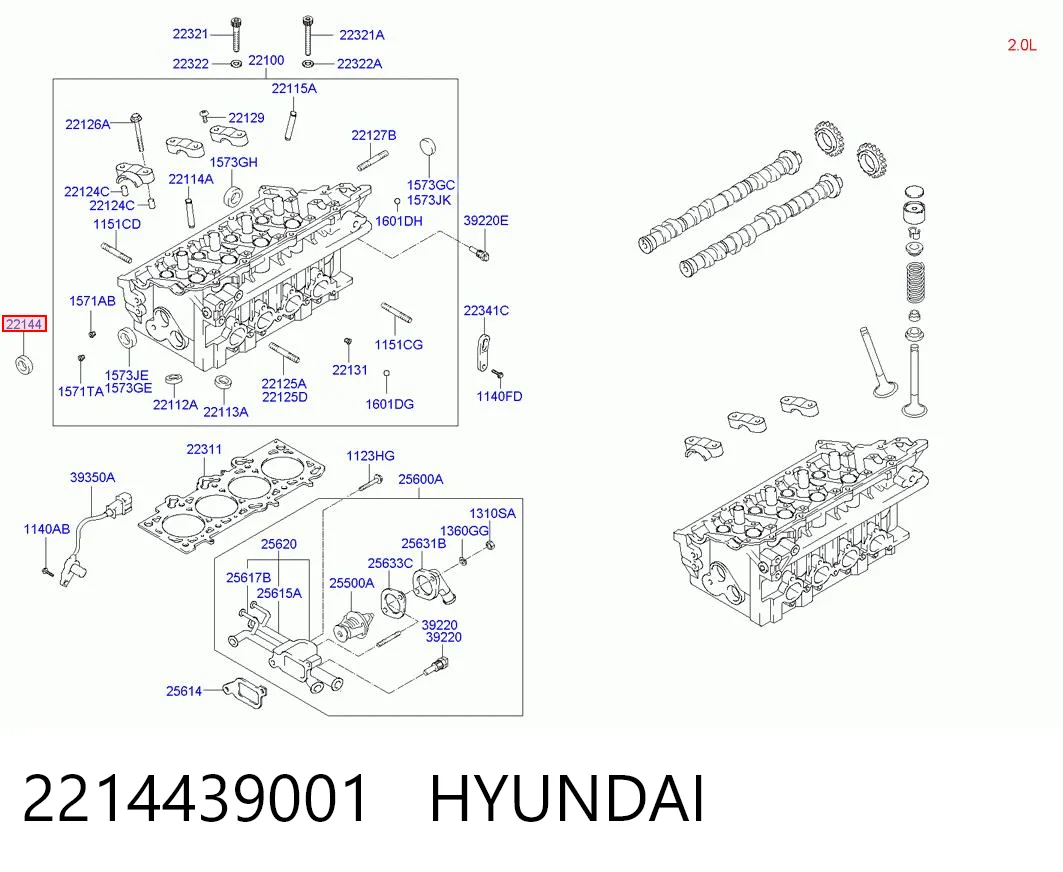 Vedação da árvore distribuidora de motor Renault Master II HD, FD