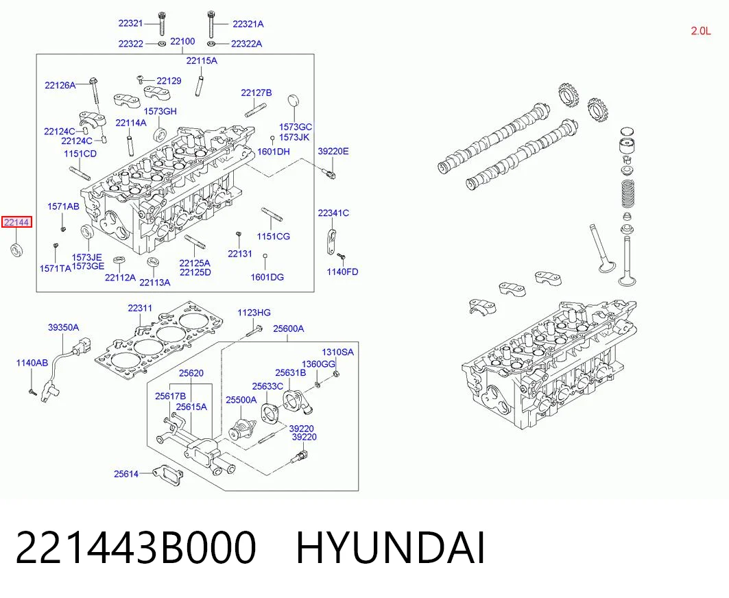 221443B000 Hyundai/Kia Vedação da árvore distribuidora de motor