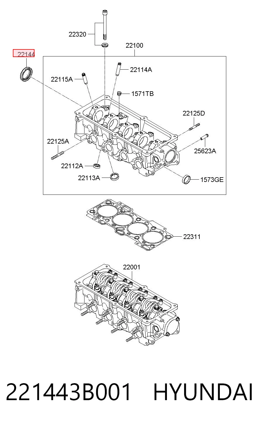 221443B001 Hyundai/Kia Vedação da árvore distribuidora de motor