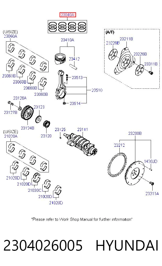 SWG30035ZZ NE/NPR Kit de anéis de pistão de motor, STD.
