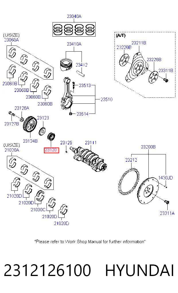 2312126100 Hyundai/Kia Engrenagem de cadeia da roda dentada de acionamento de cambota de motor