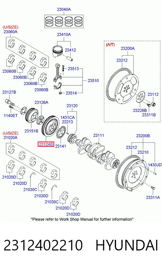2312402210 Hyundai/Kia Polia de cambota