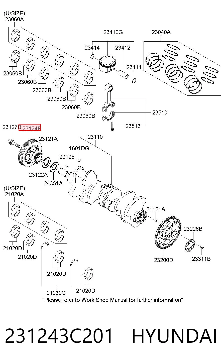 231243C201 Hyundai/Kia Polia de cambota