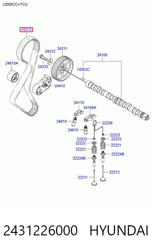 2431226000 Hyundai/Kia Correia do mecanismo de distribuição de gás