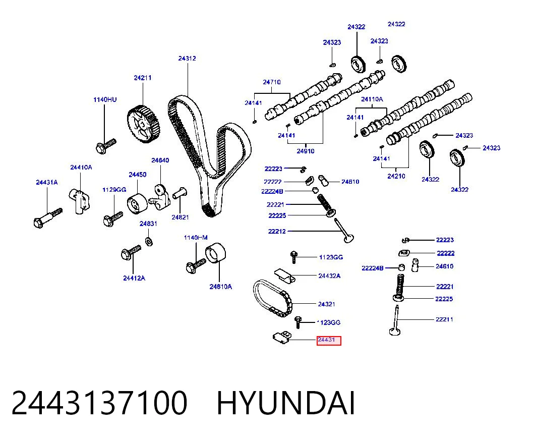 2443137100 Hyundai/Kia Amortecedor de cadeia do mecanismo de distribuição de gás, inferior