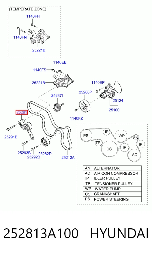 252813A100 Hyundai/Kia Reguladora de tensão da correia de transmissão