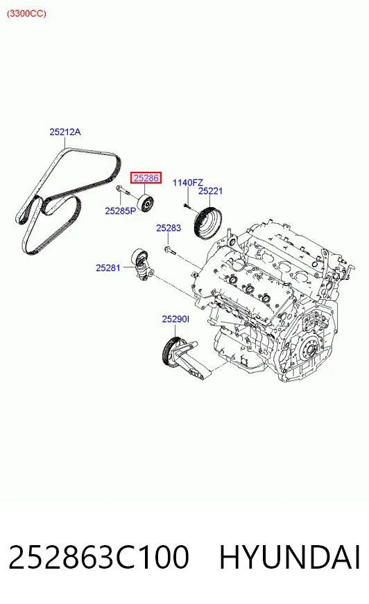 252863C100 Hyundai/Kia Rolo parasita da correia de transmissão