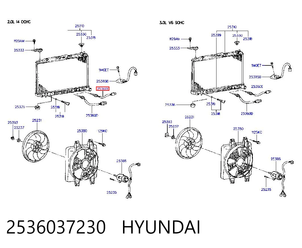 2536037230 Hyundai/Kia