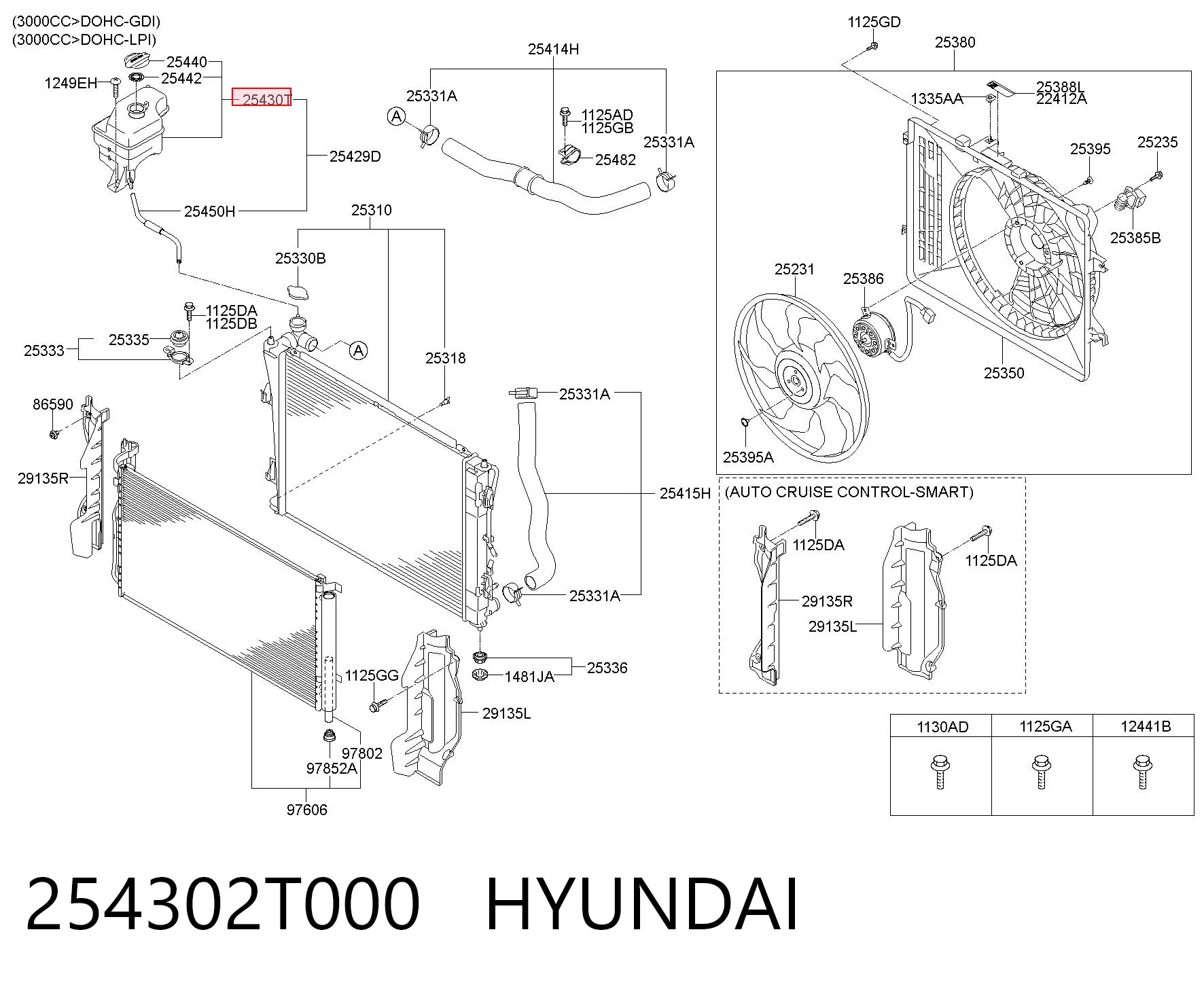 254302T000 Hyundai/Kia Tanque de expansão do sistema de esfriamento