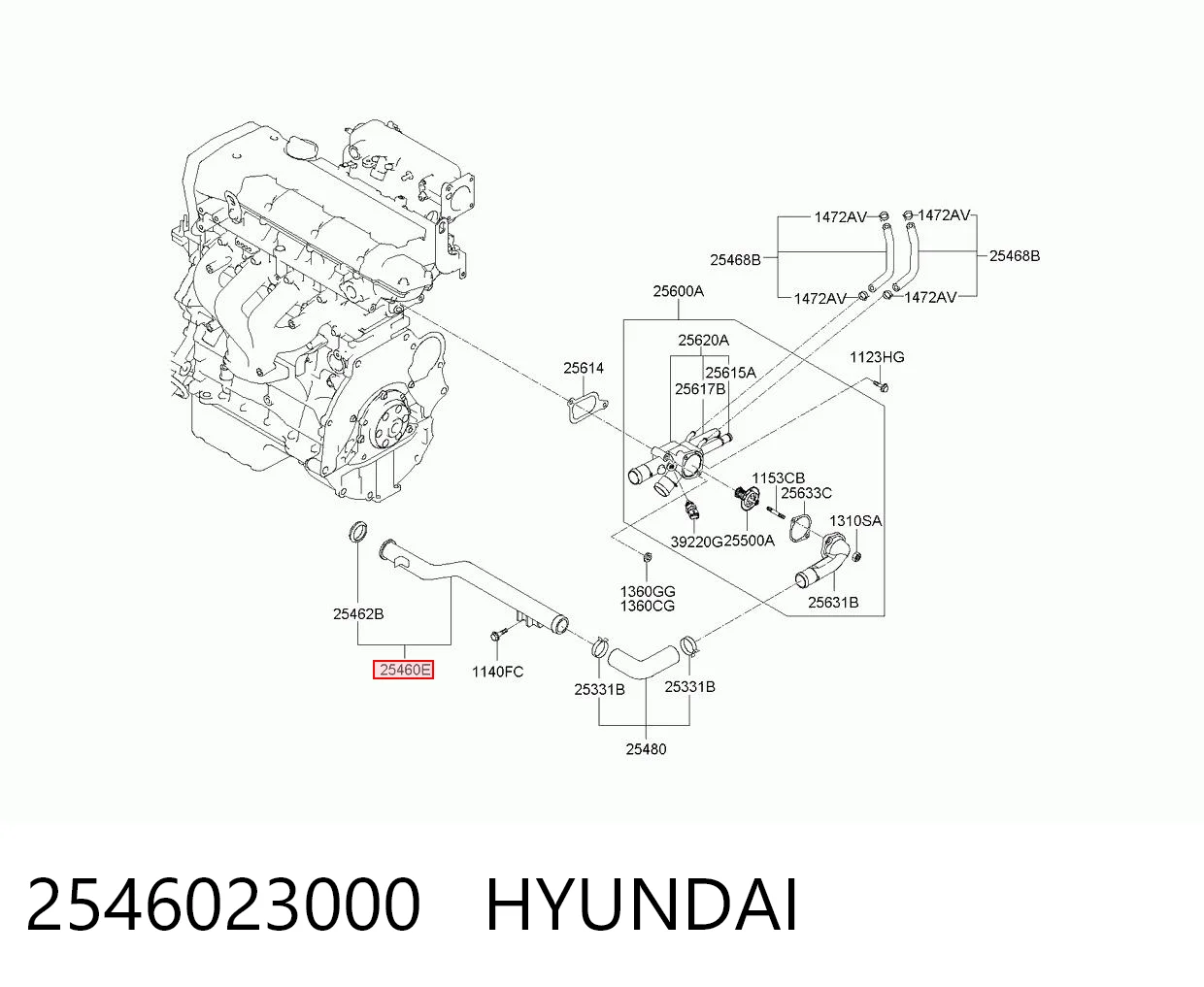 2546023000 Hyundai/Kia Mangueira (cano derivado) de bomba de água de admissão