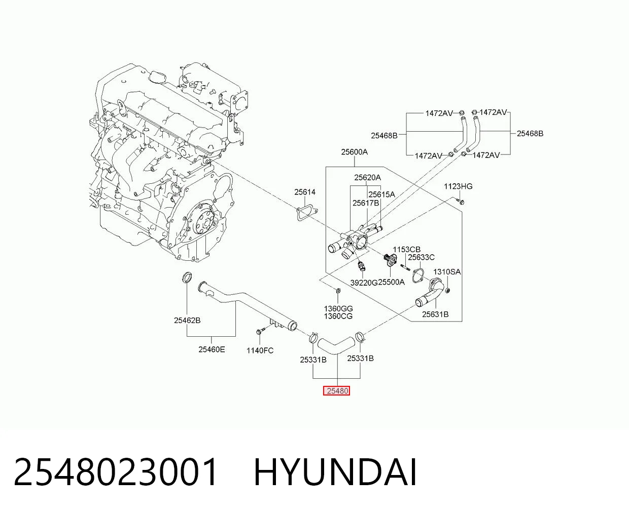2548023001 Hyundai/Kia Mangueira (cano derivado) do termostato