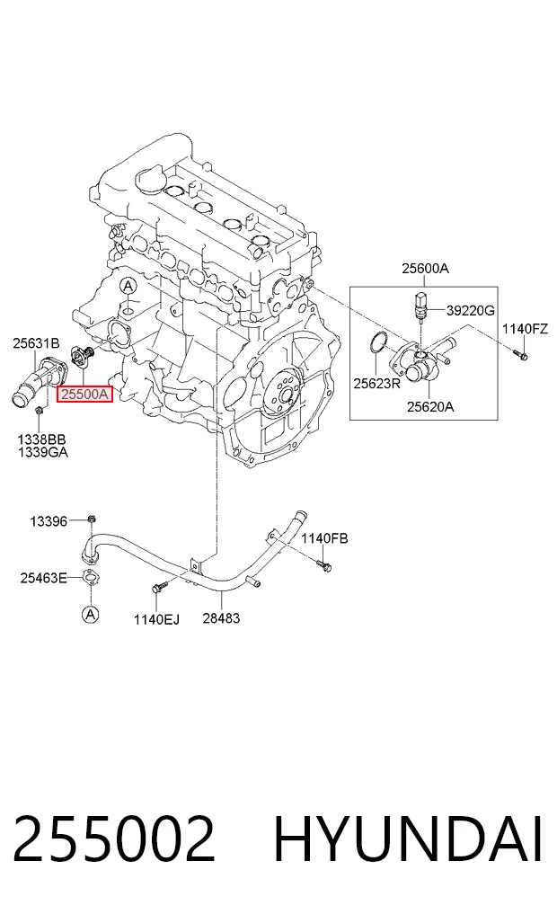 255002 Hyundai/Kia Termostato