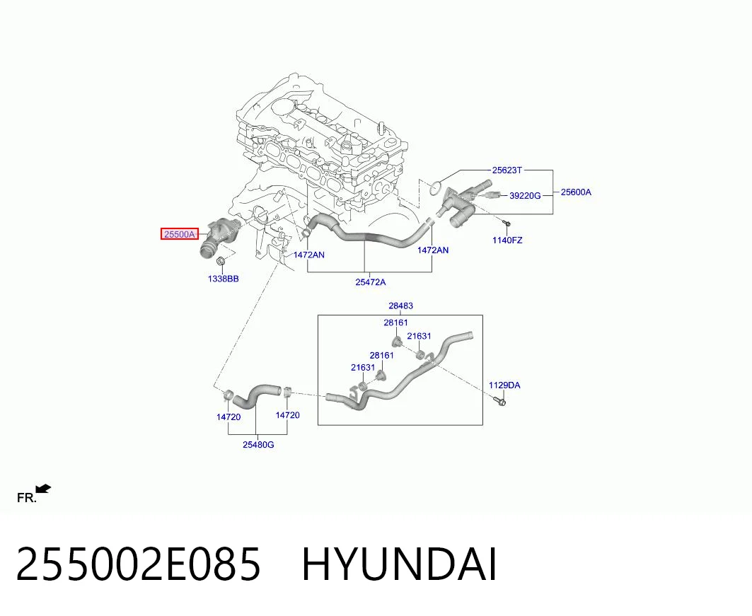 255002E085 Hyundai/Kia Termostato