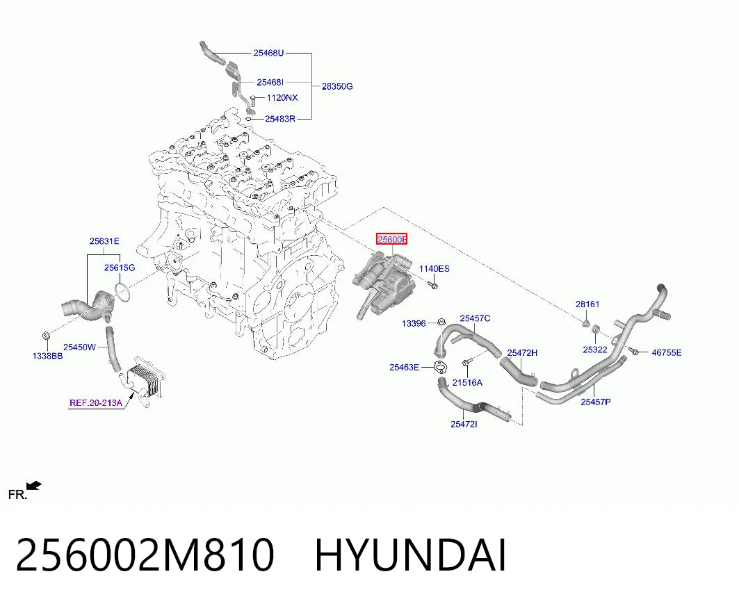 256002M810 Hyundai/Kia Caixa do termostato