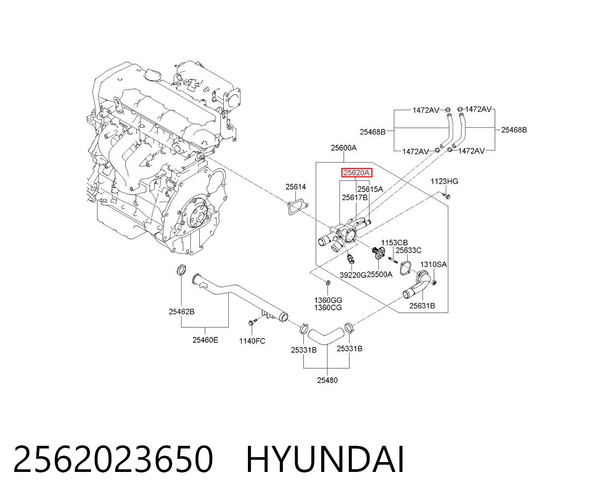 2562023650 Hyundai/Kia Caixa do termostato
