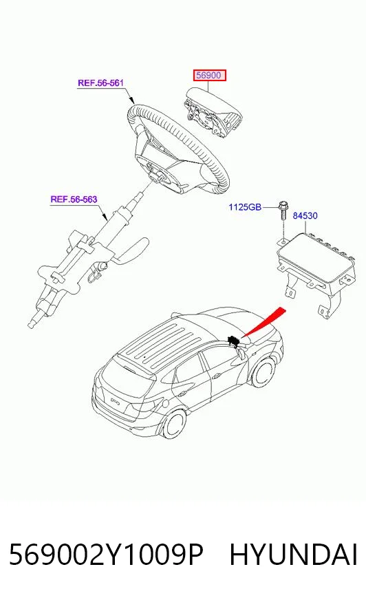 569002Y1009P Hyundai/Kia