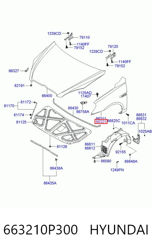 Compre Pára-lama dianteiro direito Hyundai Accent 3