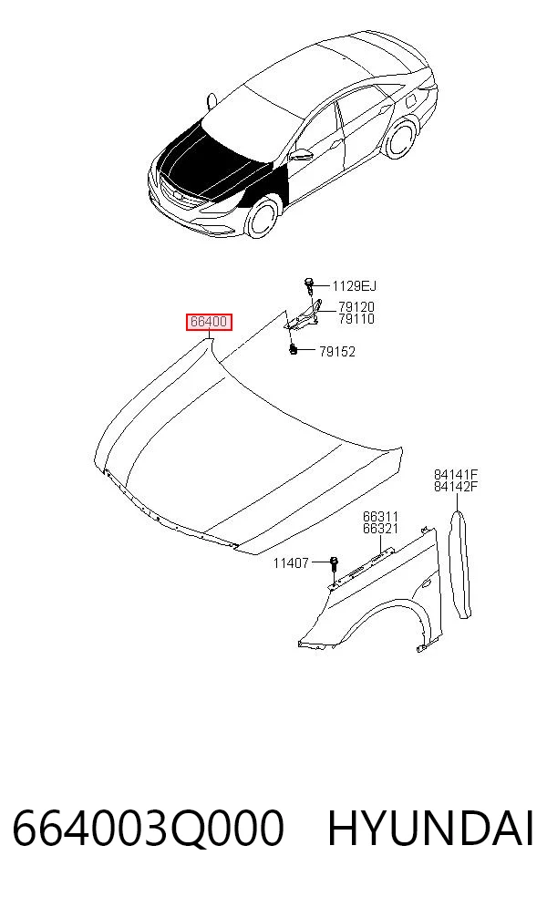 664003Q000 Hyundai/Kia Capota