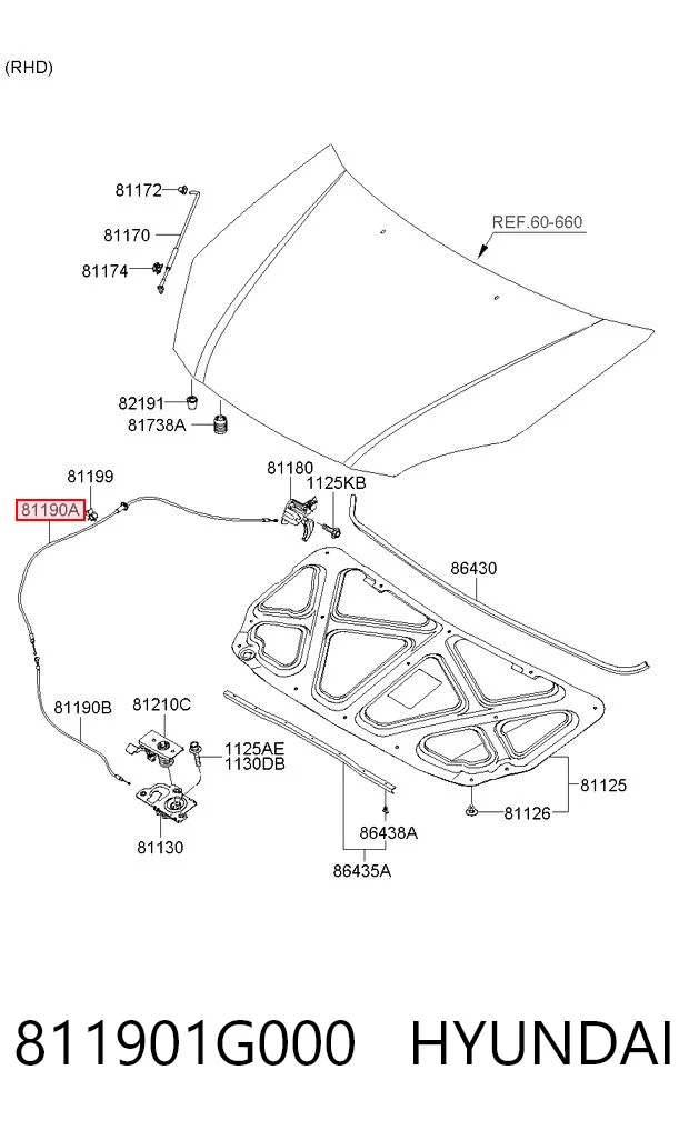 811901G000 Hyundai/Kia
