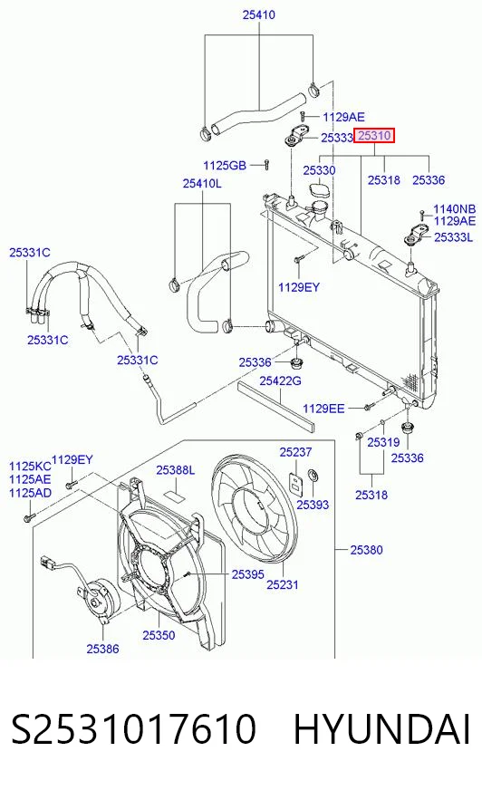 S2531017610 Hyundai/Kia