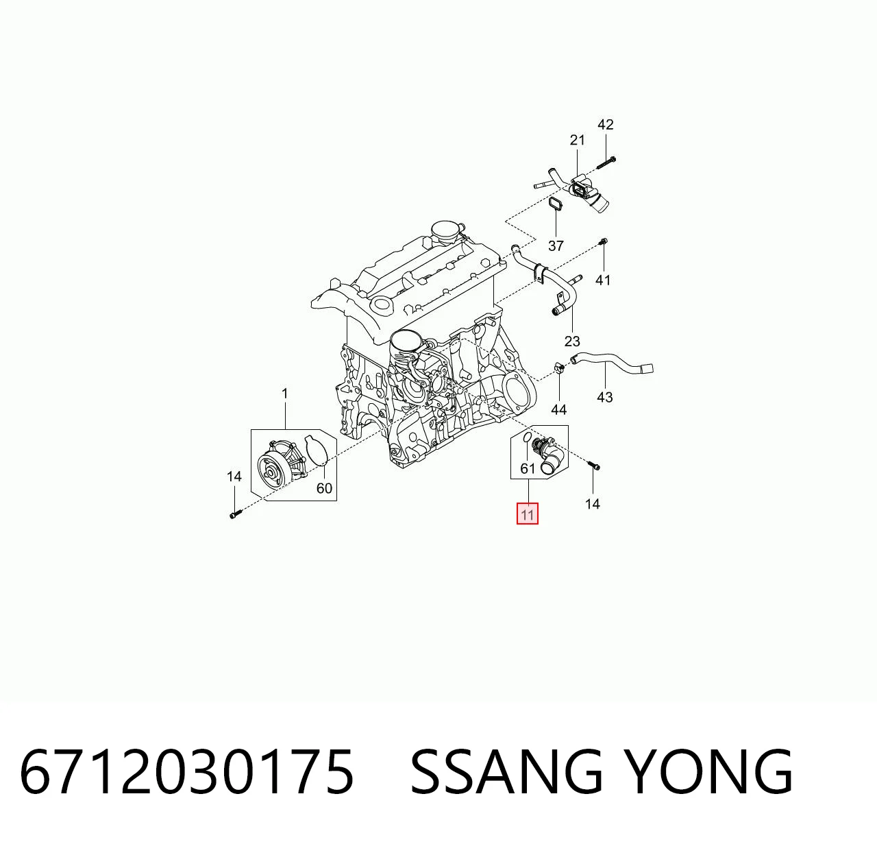 6712030175 Ssang Yong Termostato