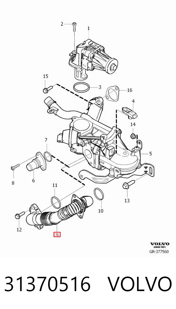 31370516 Volvo