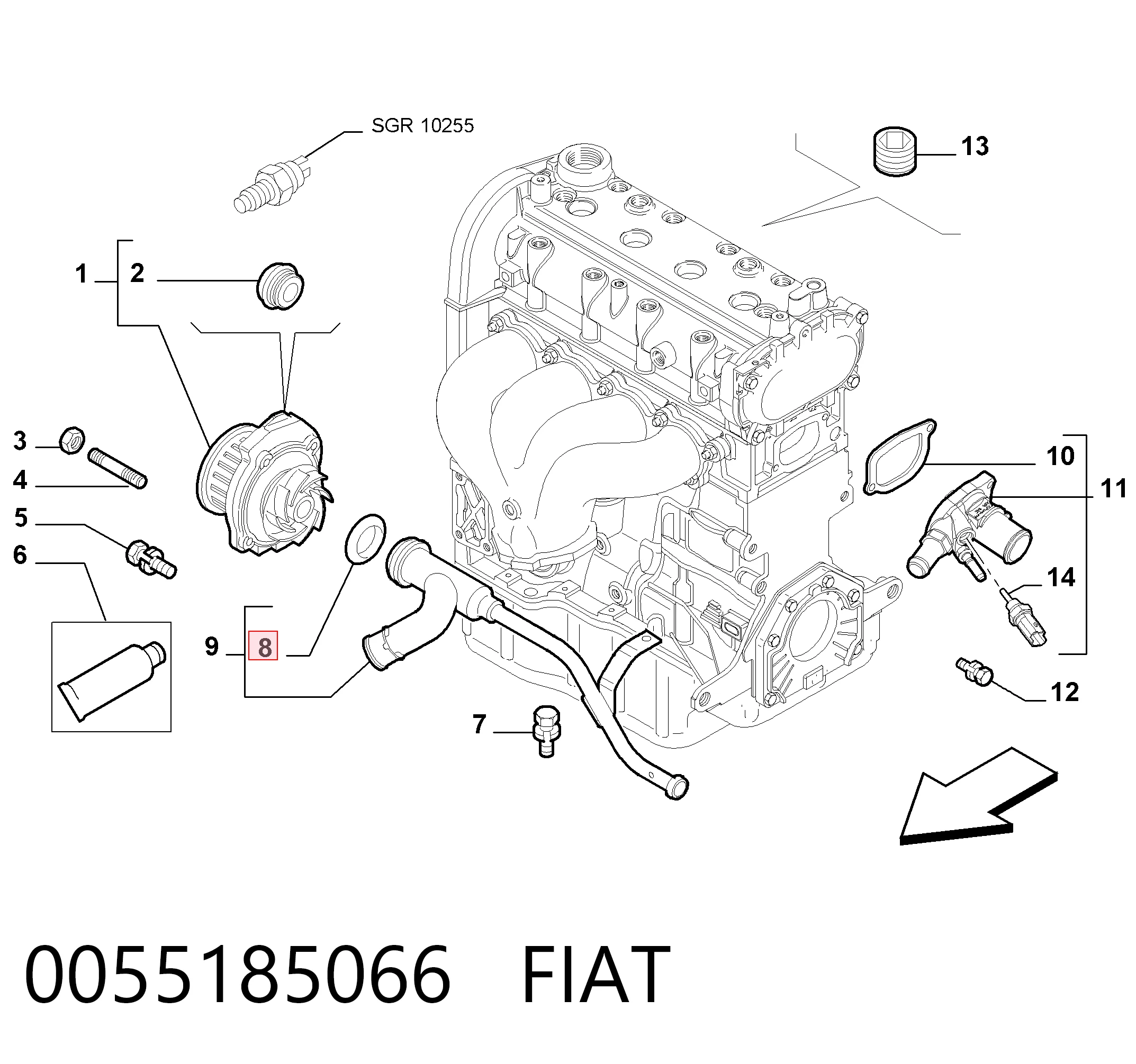 Vedante de cano derivado de bomba 55185066 Peugeot/Citroen
